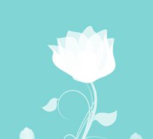 mindfulness bij fysio fitplan vianen
